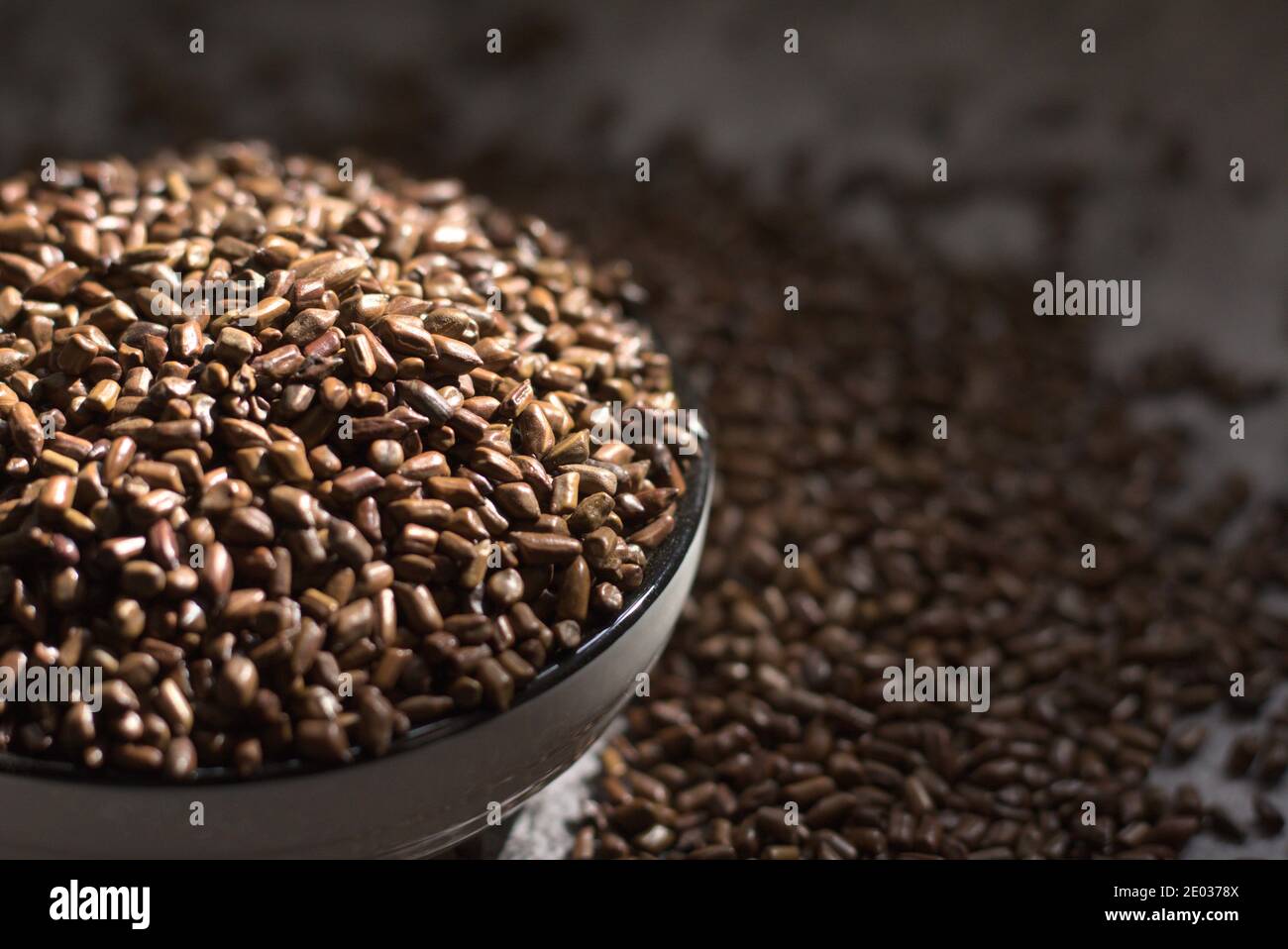 Primo piano di Sicklepod, cassia tora semi in ciotola Foto Stock