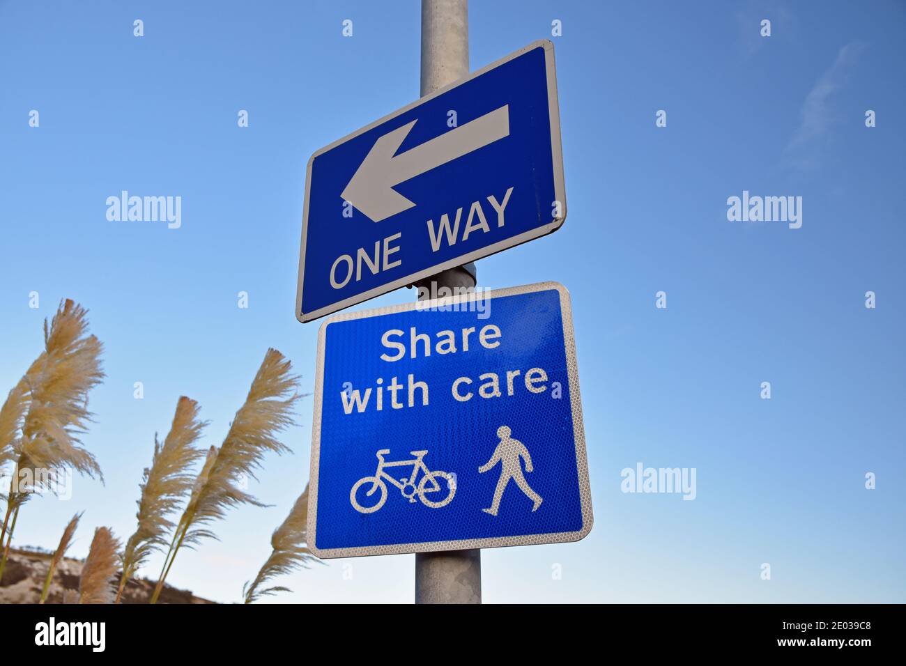 Segnali blu e bianchi: Un senso con la freccia, e condividere con le icone di bicicletta e pedoni. Foto Stock