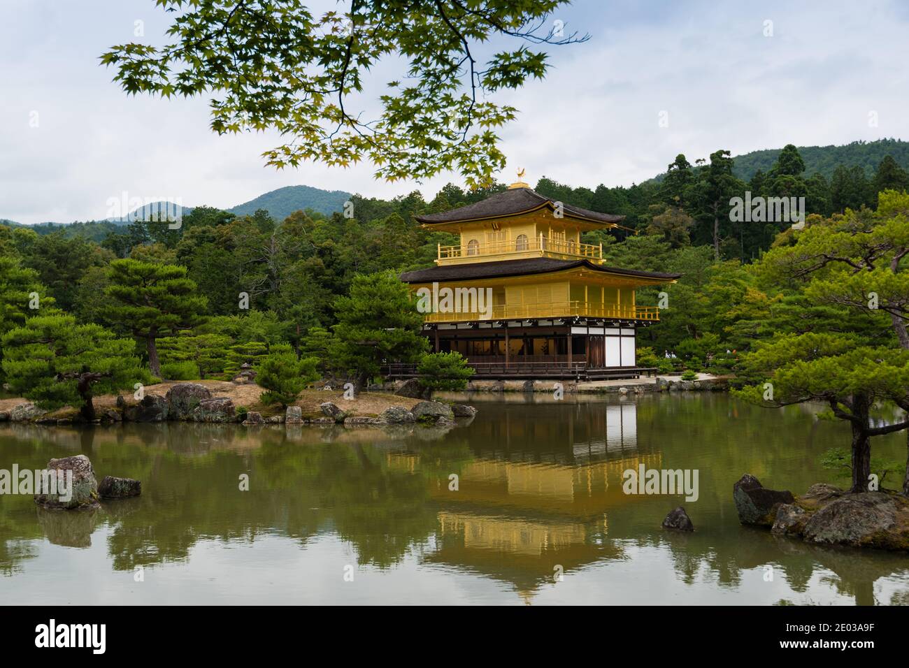 Kinkakuji padiglione d'oro Kyoto in estate Foto Stock