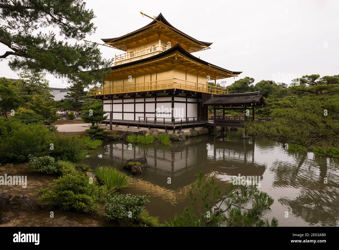Kinkakuji padiglione d'oro Kyoto in estate Foto Stock