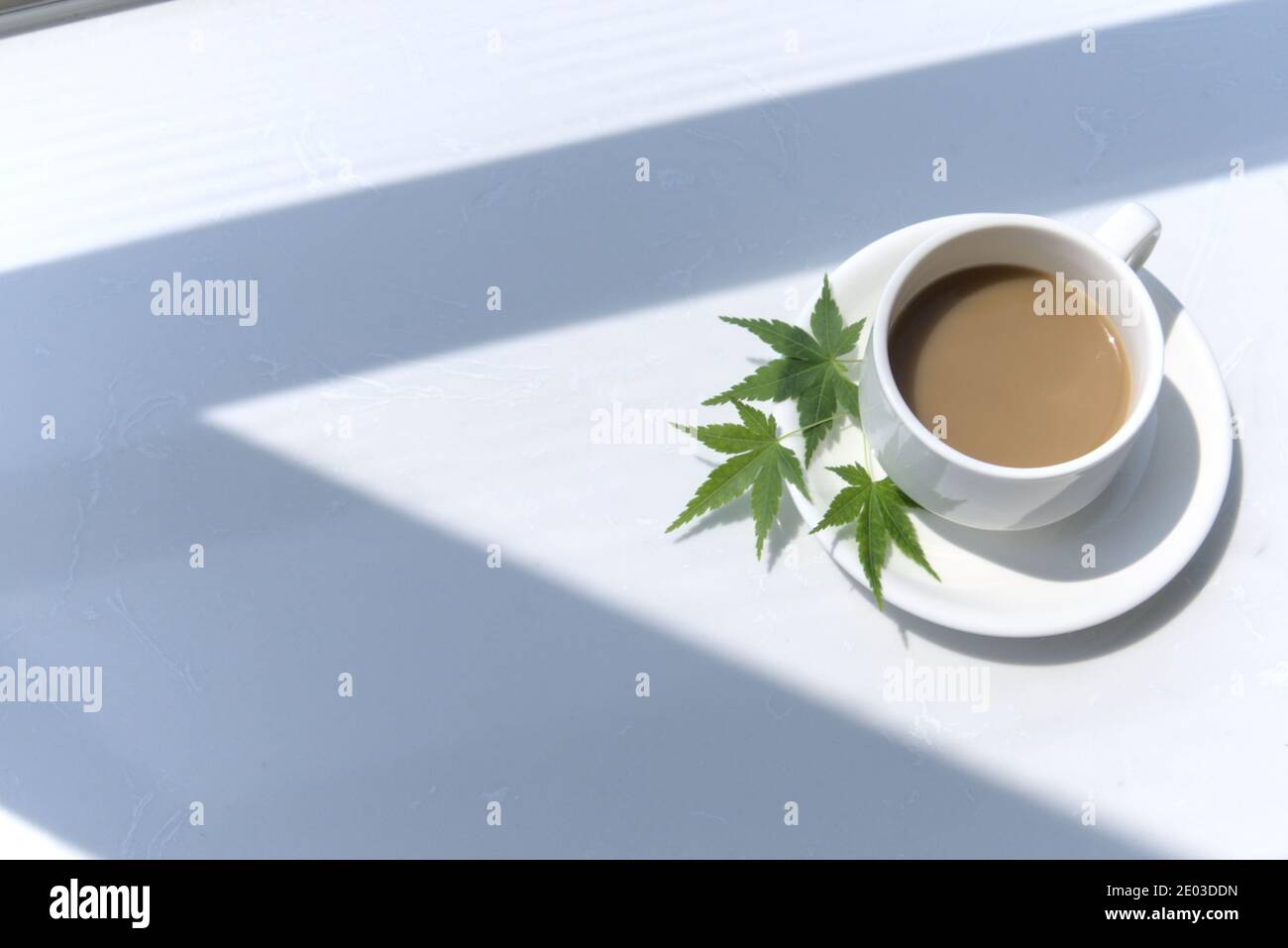 Colpo ad angolo di tazza di caffè latte, tre foglie di acero verde sul piatto, tazza in luogo luminoso Foto Stock