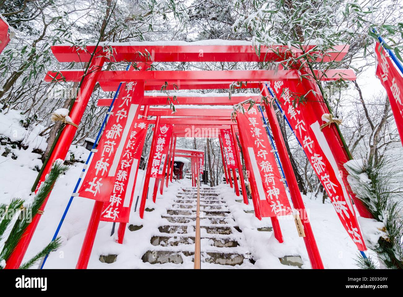 Spettacolare ingresso rosso torii del Santuario Ana Mori Inari al Parco Sainokawara, Kusatsu all'aperto Onsen, Giappone. Foto Stock