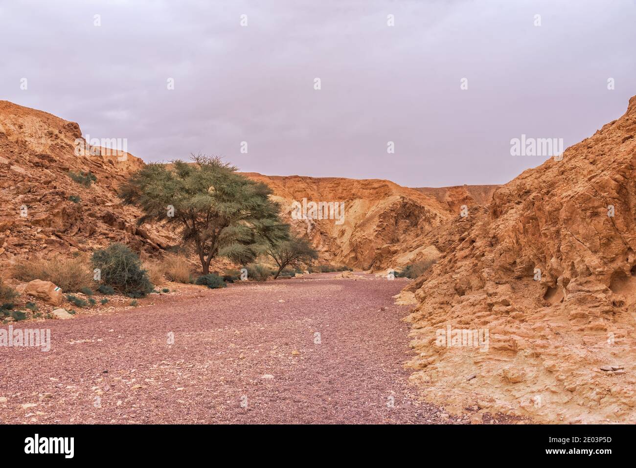 Viaggiare in Israele. Il Red Canyon Activity Rest, escursioni all'aperto e attrazioni naturali nei pressi di Eilat. Israele a piedi Foto Stock