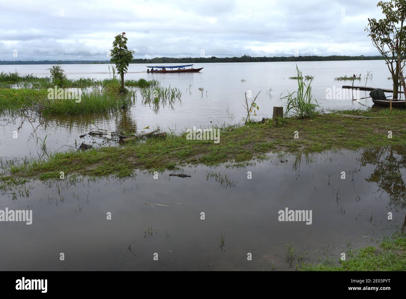 Mamirauá Riserva per lo sviluppo sostenibile in Amazzonia tra i fiumi Solimões e Japurá, villaggio Caburini Foto Stock