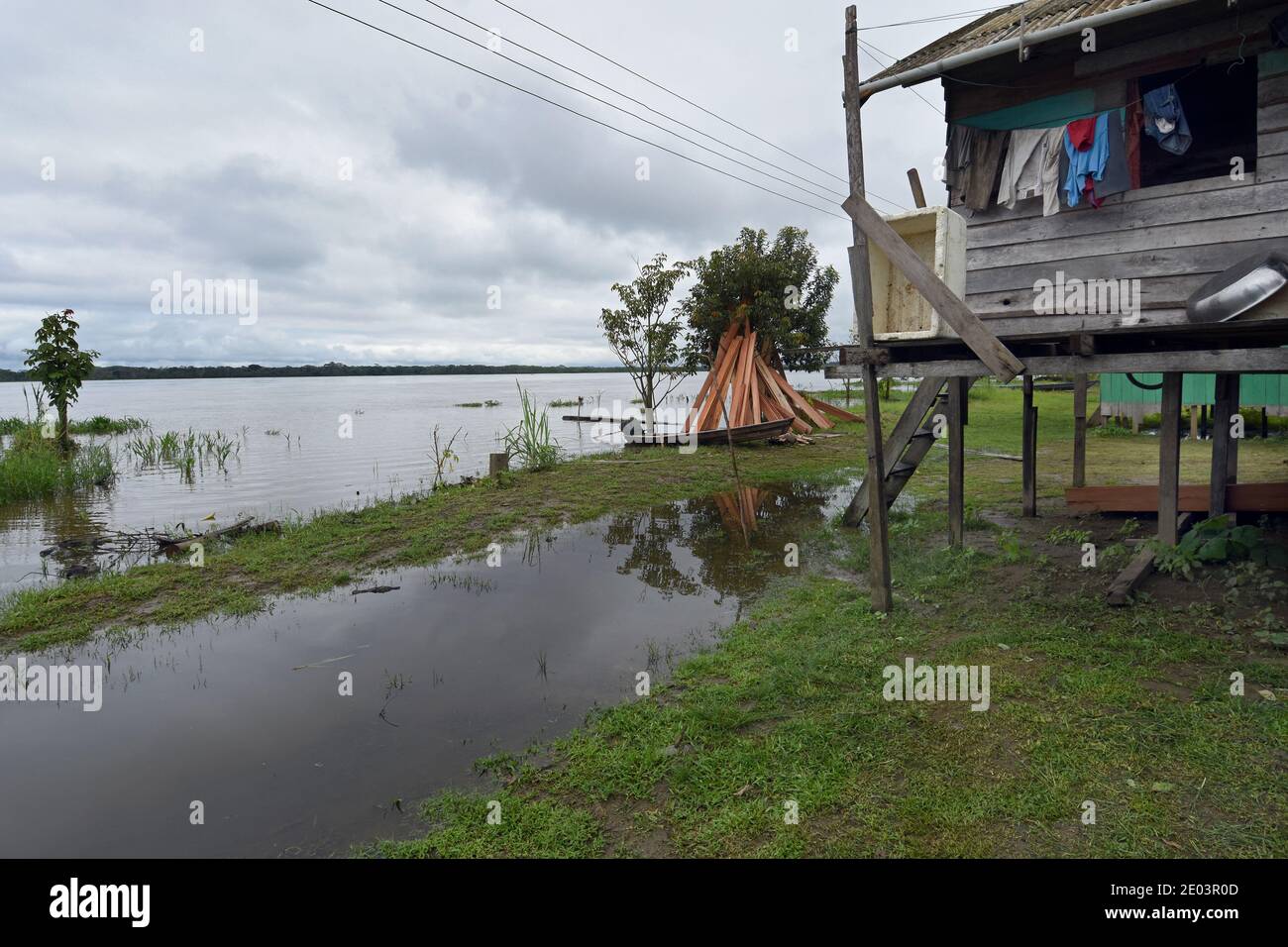 Caburini villaggio nella riserva di sviluppo sostenibile Mamirauá Amazonia, Brasile Foto Stock