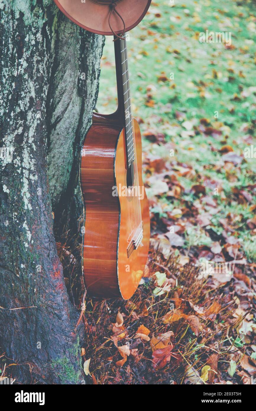 Cappello Cowboy poggiato sulla chitarra proppato contro l'albero tra le foglie d'autunno. Concetto di abondonement e solitudine Foto Stock