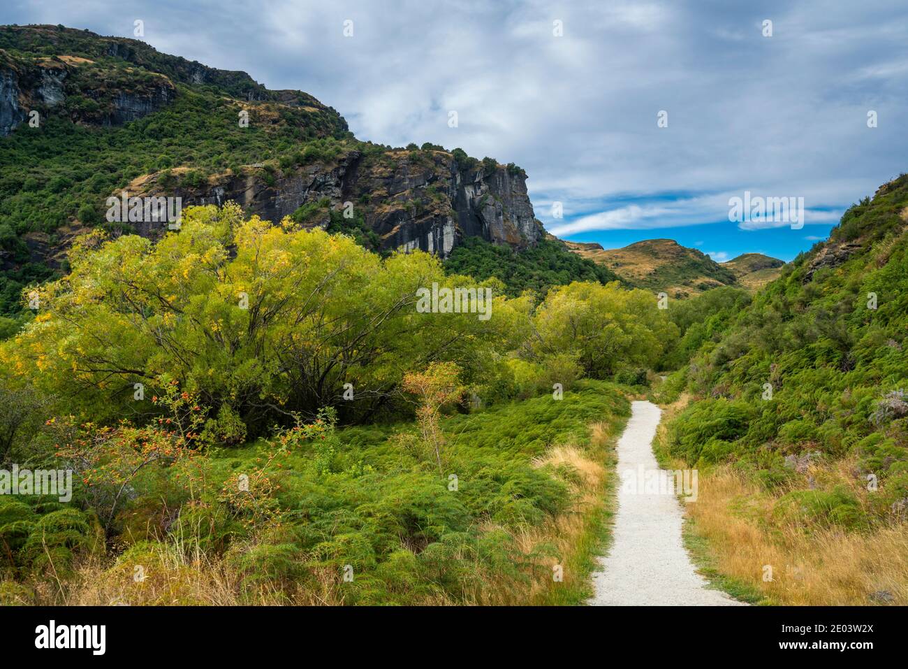 Sentiero tra campi erbosi presso la Diamond Lake Conservation Area, Nuova Zelanda Foto Stock