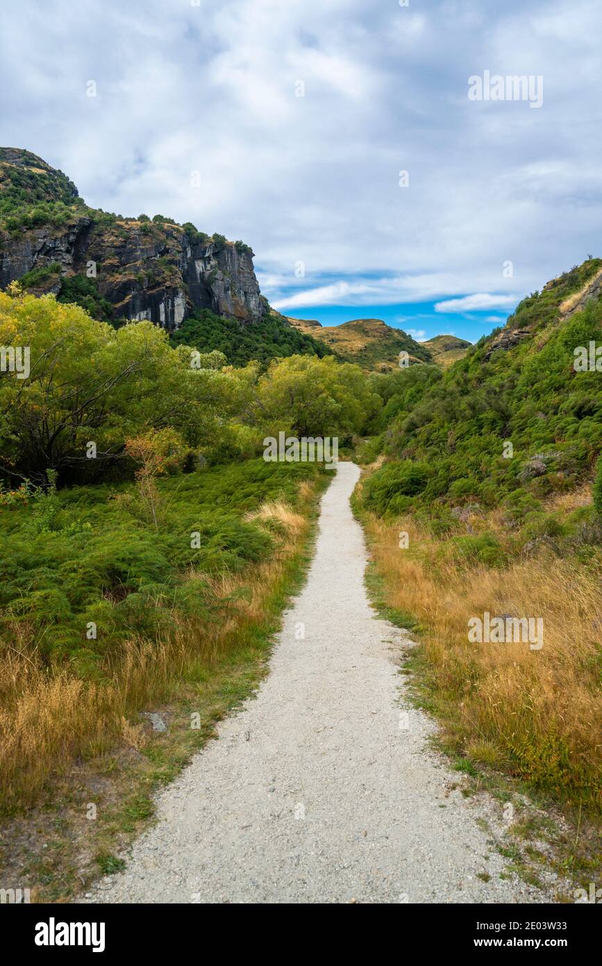 Sentiero intorno al lago Diamond, Diamond Lake Conservation Area, Nuova Zelanda Foto Stock