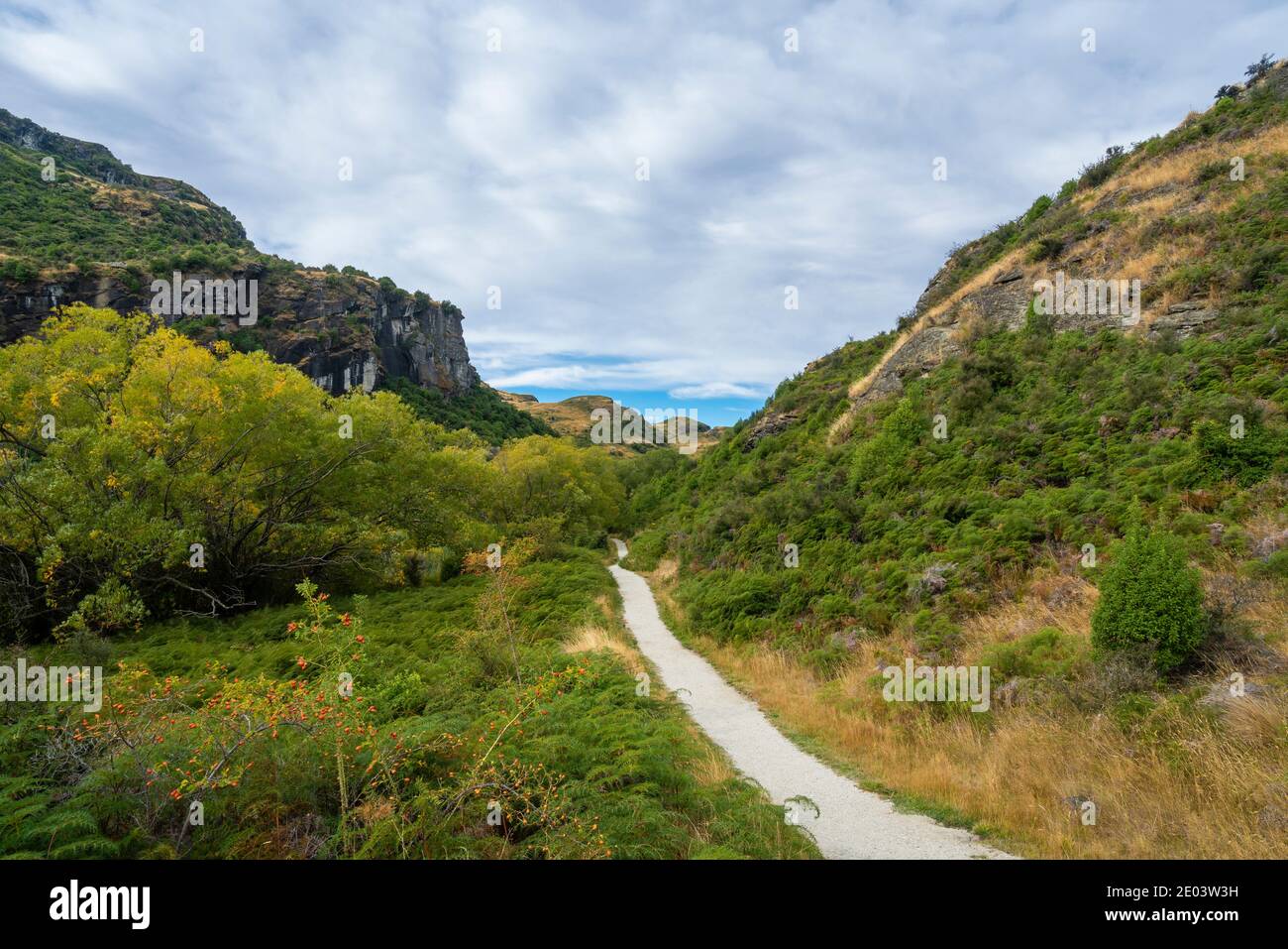 Sentiero tra campi erbosi presso la Diamond Lake Conservation Area, Nuova Zelanda Foto Stock