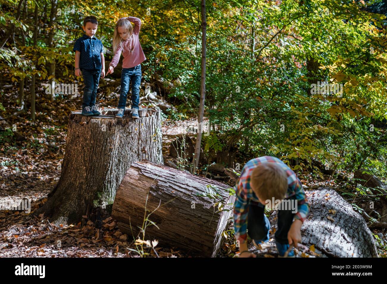 Tre fratelli che giocano su ceppi di alberi nella foresta Foto Stock