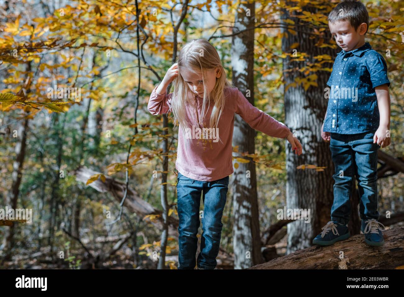 Fratello e sorella che giocano l'avventura nel bosco Foto Stock