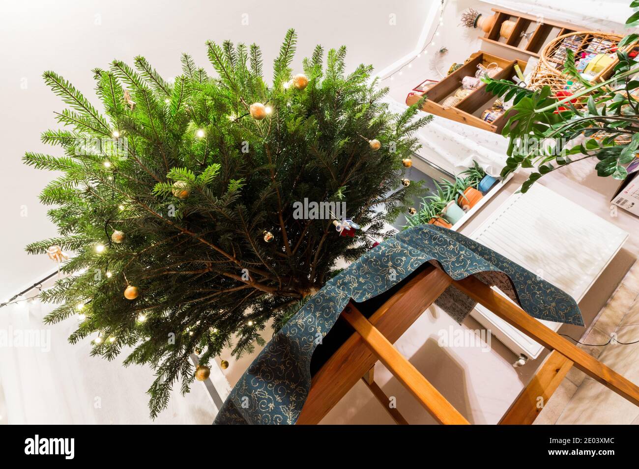 Albero di Natale vista ad angolo basso all'interno della casa Foto Stock