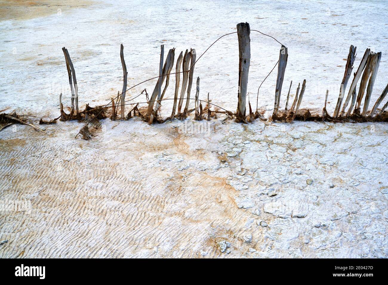 Tutto ciò che rimane di una vecchia recinzione sulle rive del Coorong nel sud-est dell'Australia meridionale. Foto Stock