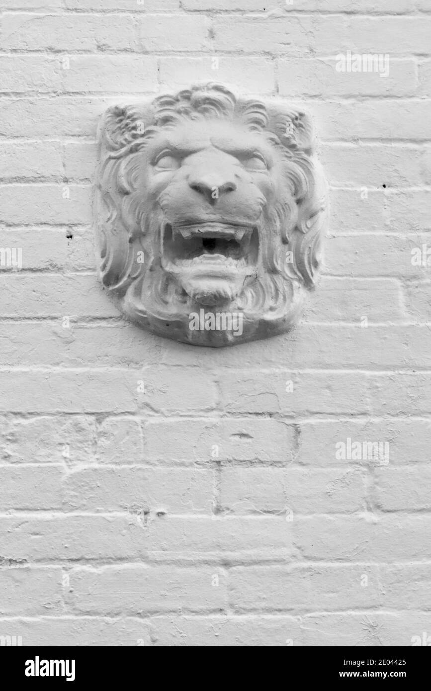 I Lions si dirigano su un muro di mattoni bianchi Foto Stock