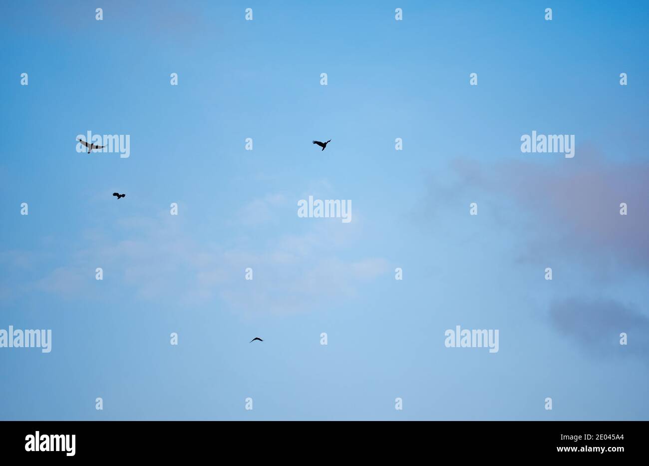 Gli sposi stanno volando in un bel cielo blu Foto Stock