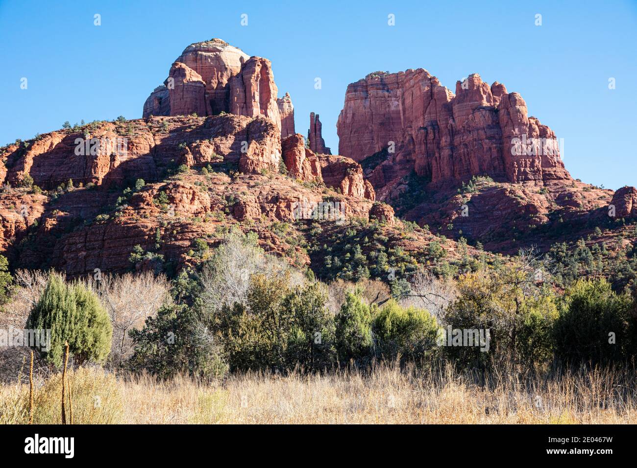Cathedral Rock e l'erba dorata, Sedona, Arizona, Stati Uniti Foto Stock