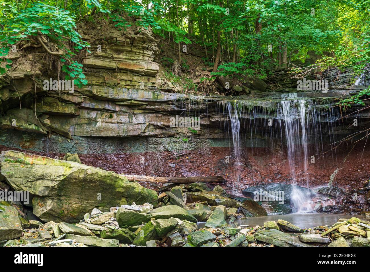 West Cliff Falls Niagara Escarpment Hamilton Ontario Canada Foto Stock