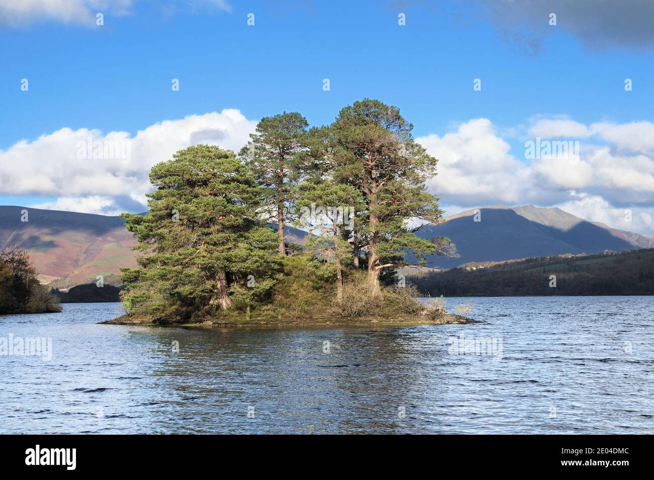 Otter Island a Abbot's Bay, Derwentwater, Lake District National Park, Inghilterra, Regno Unito Foto Stock