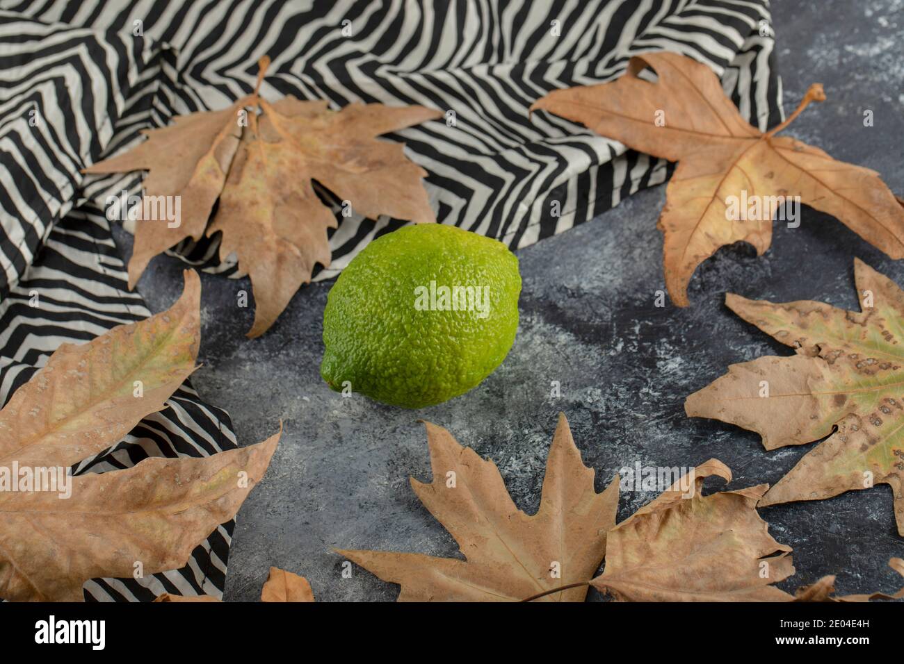 Un limone verde maturo con foglie secche Foto Stock