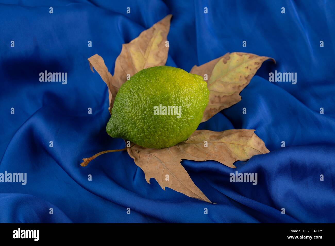 Un limone verde maturo su una foglia secca Foto Stock