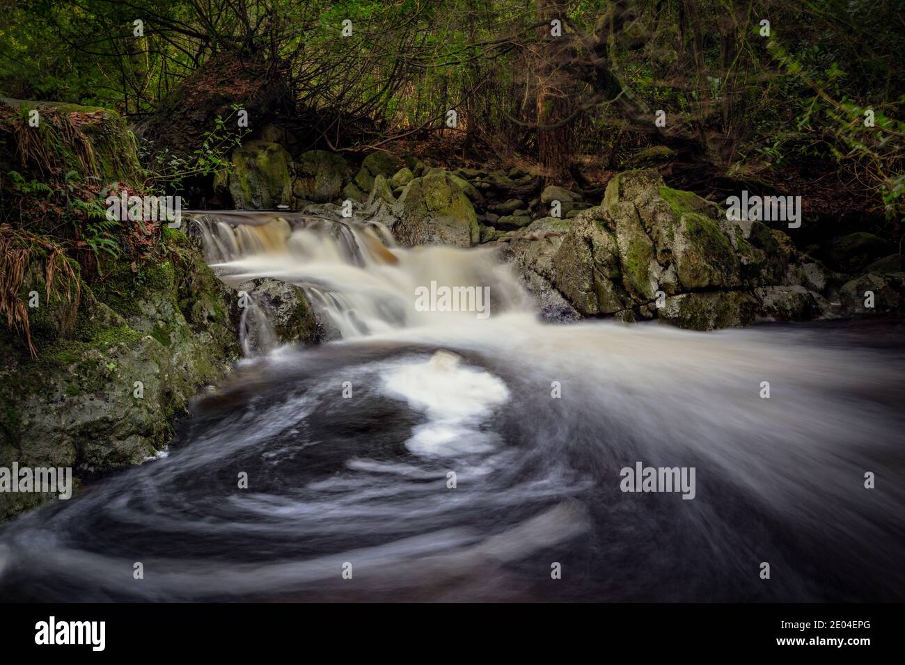 Waterford, Crough Wood Mahon Valley Co. Cascata in autunno. Cascata di fiume con acqua setosa Foto Stock