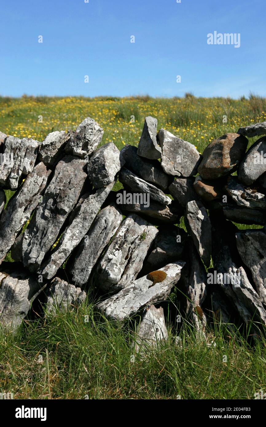 Sezione di muro di pietra a secco nel deserto calcareo del Burren, Contea di Clare, costa occidentale dell'Irlanda. Foto Stock