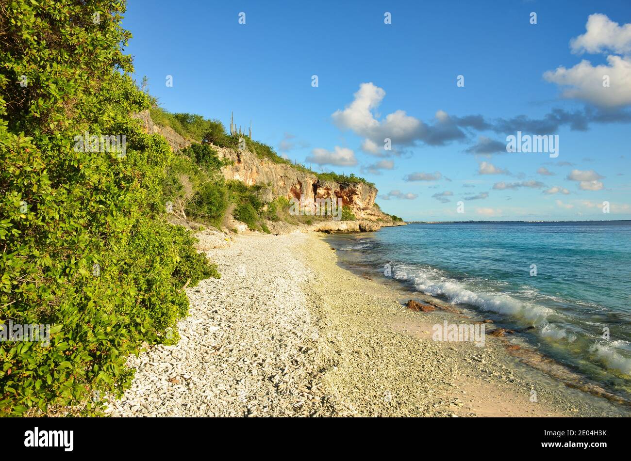 bellissima spiaggia sull'isola caraibica di bonaire, ottimo luogo per fare snorkeling e immersioni sull'isola. godetevi il relax nella sabbia vicino al mare Foto Stock