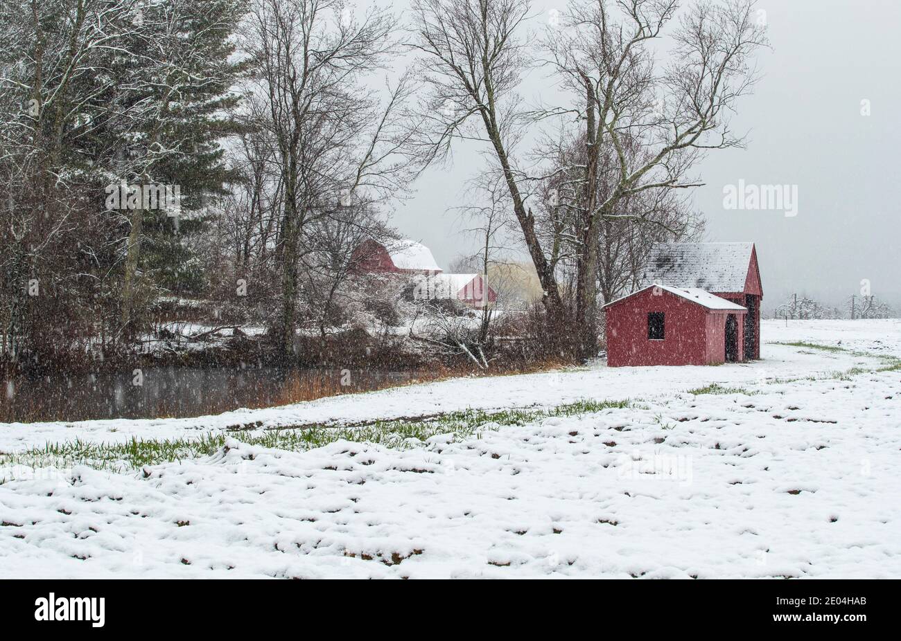 Prima della refrigerazione, gli uomini tagliavano grandi blocchi di ghiaccio dal lago Potanipo a Brookline NH e lo trasportavano alla casa di ghiaccio originale a Hollis, N. Foto Stock