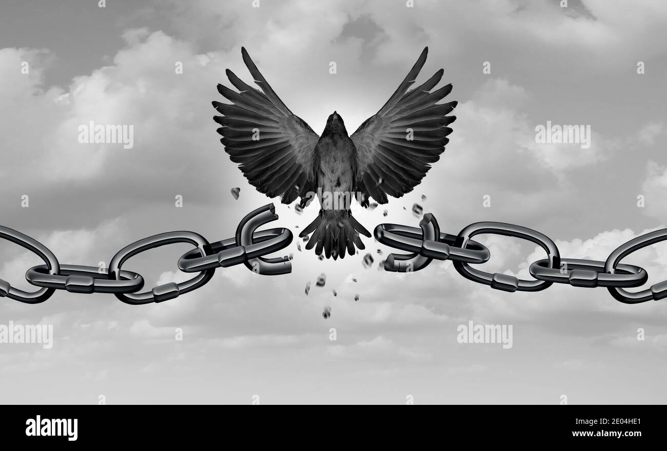 La metafora della libertà come simbolo della libertà e come concetto di catene che si rompono come ali di uccello che si rompono con elementi di illustrazione 3D. Foto Stock