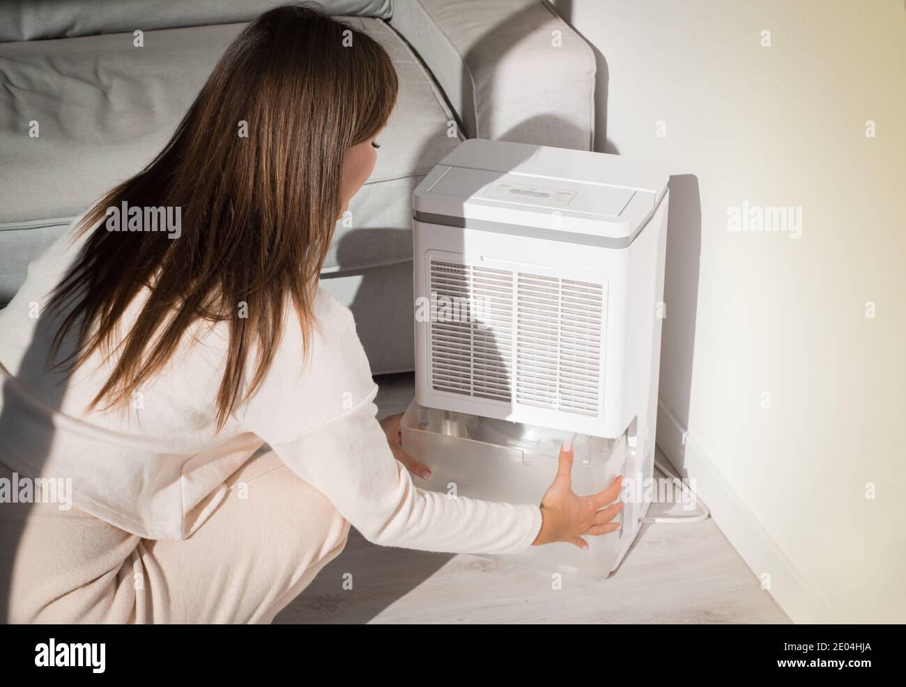 Donna che cambia il contenitore dell'acqua in essiccatore d'aria,  deumidificatore, indicatore di umidità. Aria umida a casa Foto stock - Alamy