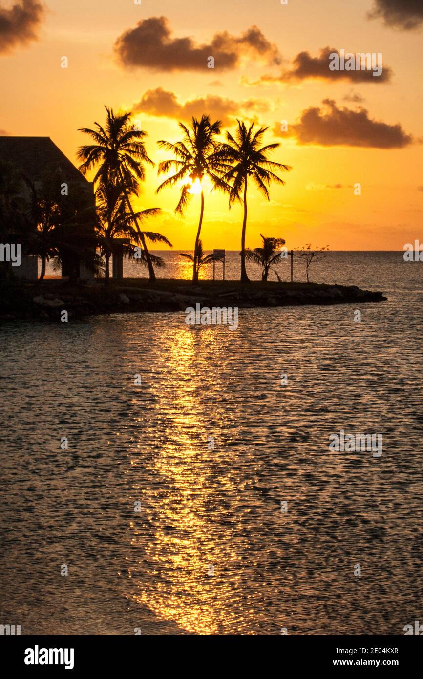 Tramonto shilouettes palme su Craig sulla Overseas Highway. Foto Stock