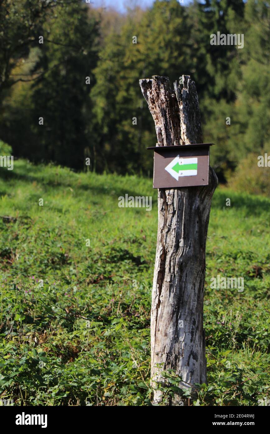 Vista di una freccia verde segnavia su un legno post Foto Stock