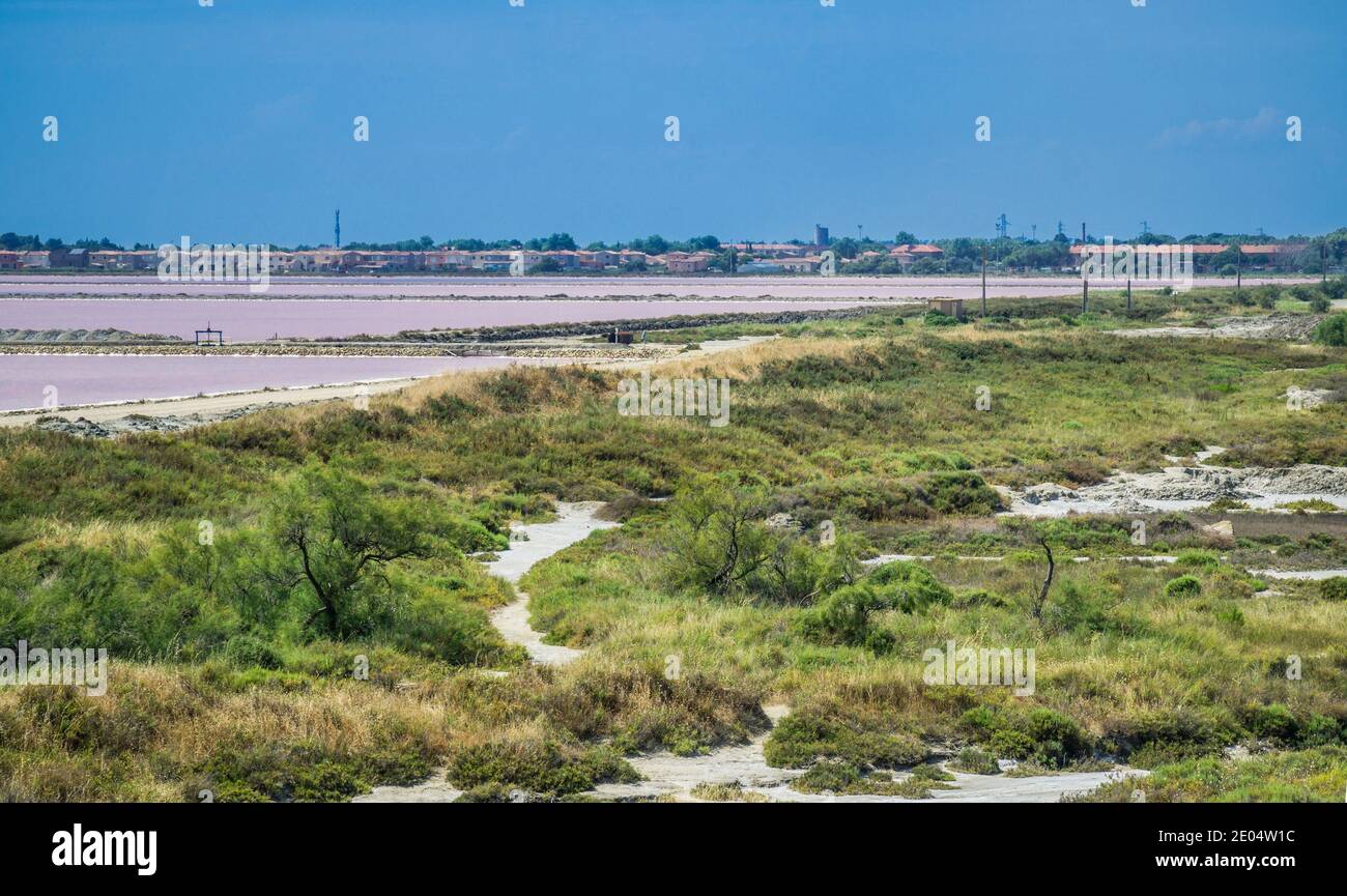 La superficie rosa dei partner per l’estrazione del sale marino naturale a Salin de Giraud, situata nel delta sud-orientale del Rodano della Camargue Foto Stock