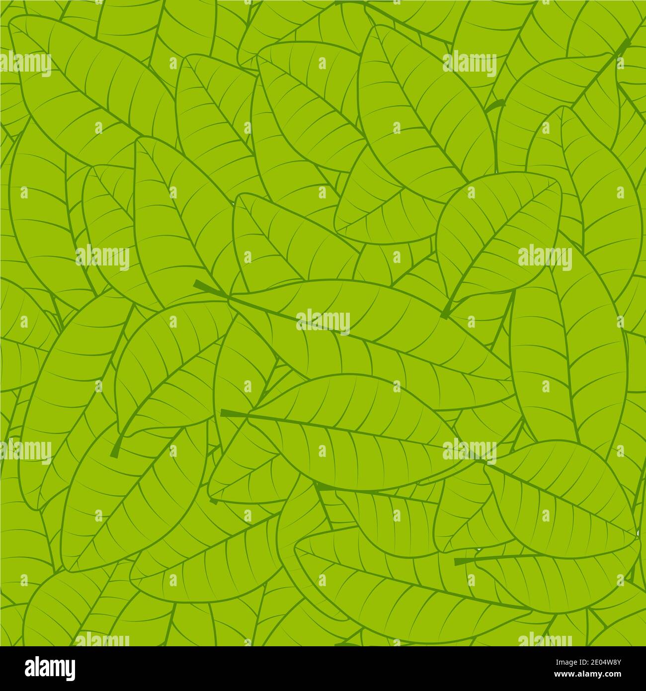 Modello di foglia verde senza cuciture vettore di sfondo modello senza giunture di fresco Foglie di erbario verde per carta da parati Illustrazione Vettoriale