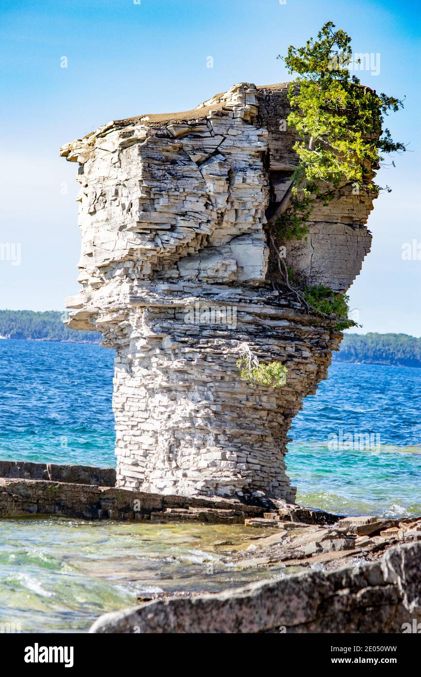 Big Flower pot formazione rock visto vicino, Lago Huron, ON. Paesaggi spettacolari in estate nella Georgian Bay a ON, Canada. Ci sono oltre 30,000 islan Foto Stock