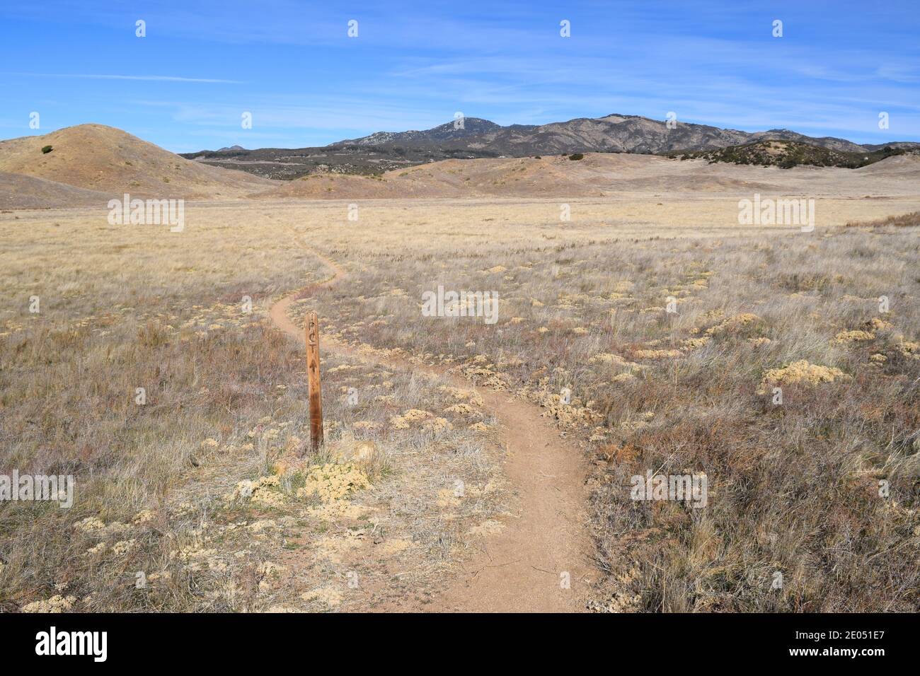 Segnavia per il Pacific Crest Trail, nella sezione della California meridionale. Foto Stock
