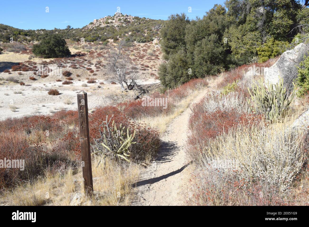 Segnavia per il Pacific Crest Trail, nella sezione della California meridionale. Foto Stock