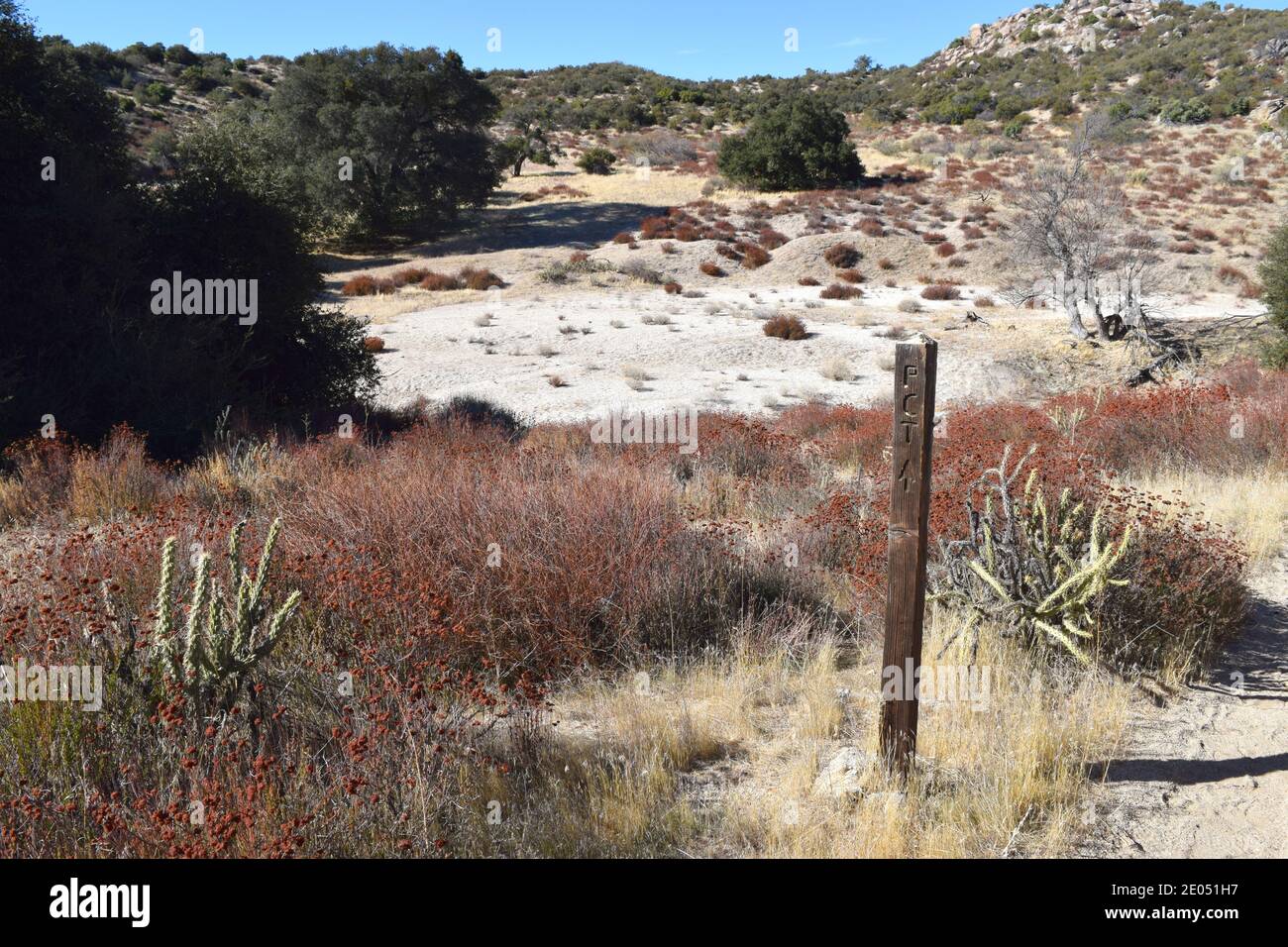 Segnavia per il Pacific Crest Trail, nella sezione della California meridionale. Foto Stock