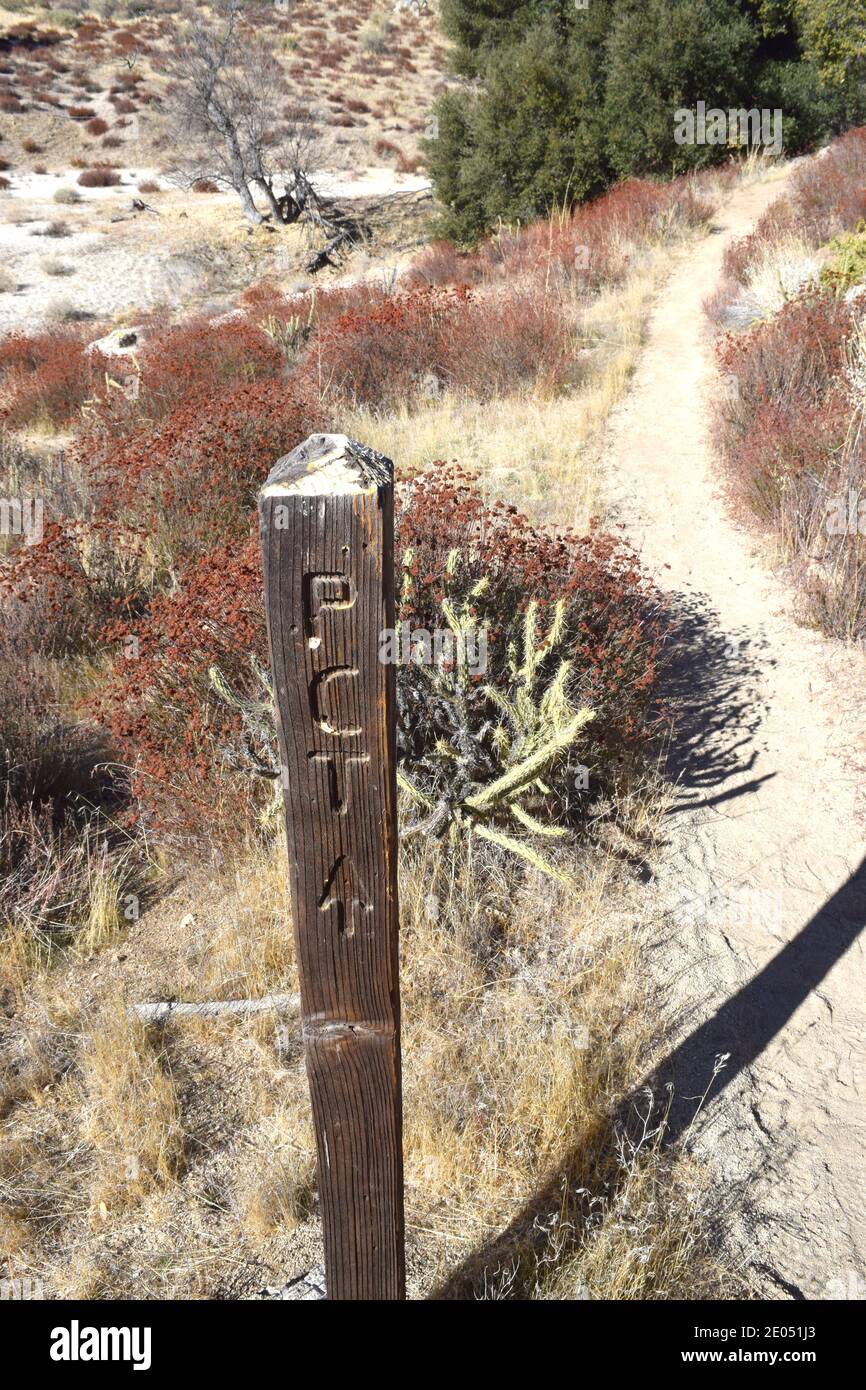 Segnavia per il Pacific Crest Trail, nella sezione della California meridionale. Foto Stock