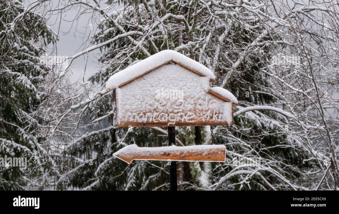 Cartello nella foresta innevata Foto Stock