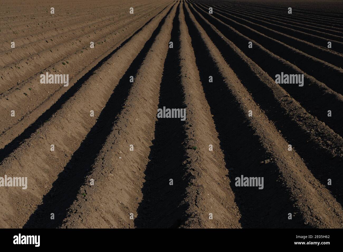 terreno agricolo ben arato con linee centrali e terra scura Foto Stock