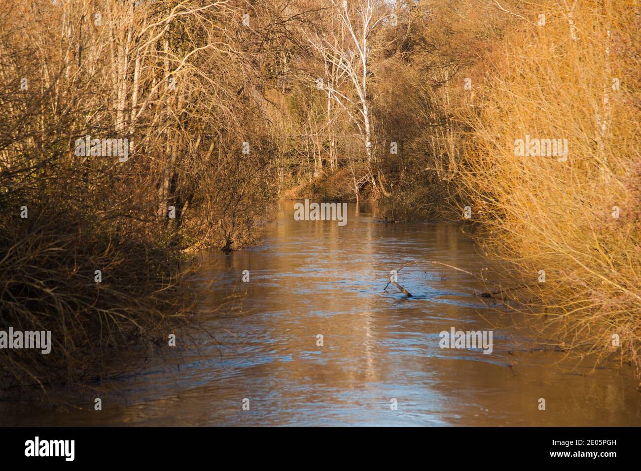 River Wey, Weybridge, Surrey, UK, Autunno Inverno, Dicembre 2020 Foto Stock