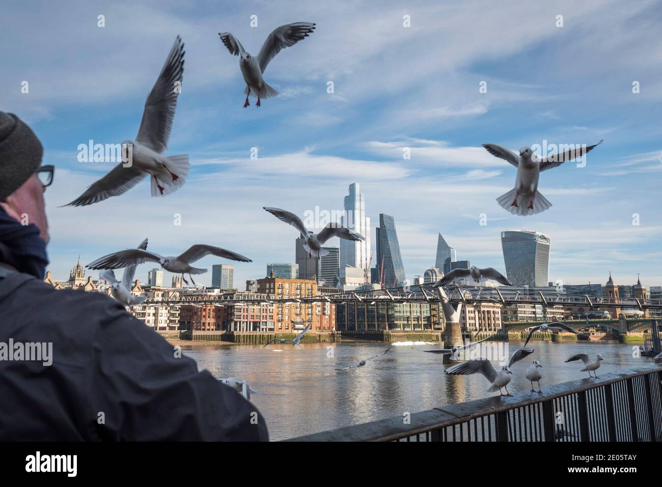 Londra, Regno Unito. 30 dicembre 2020. Gabbiani attratti da un uomo che li alimenta il pane, con la città di Londra alle spalle. Le imprese della città di Londra sono in attesa di una guida da parte del governo britannico, in quanto l'accordo commerciale tra Regno Unito e Unione europea, che deve essere ratificato oggi dai parlamentari in Parlamento, non include disposizioni per l'industria dei servizi finanziari dopo il 1° gennaio 2021. Credit: Stephen Chung / Alamy Live News Foto Stock