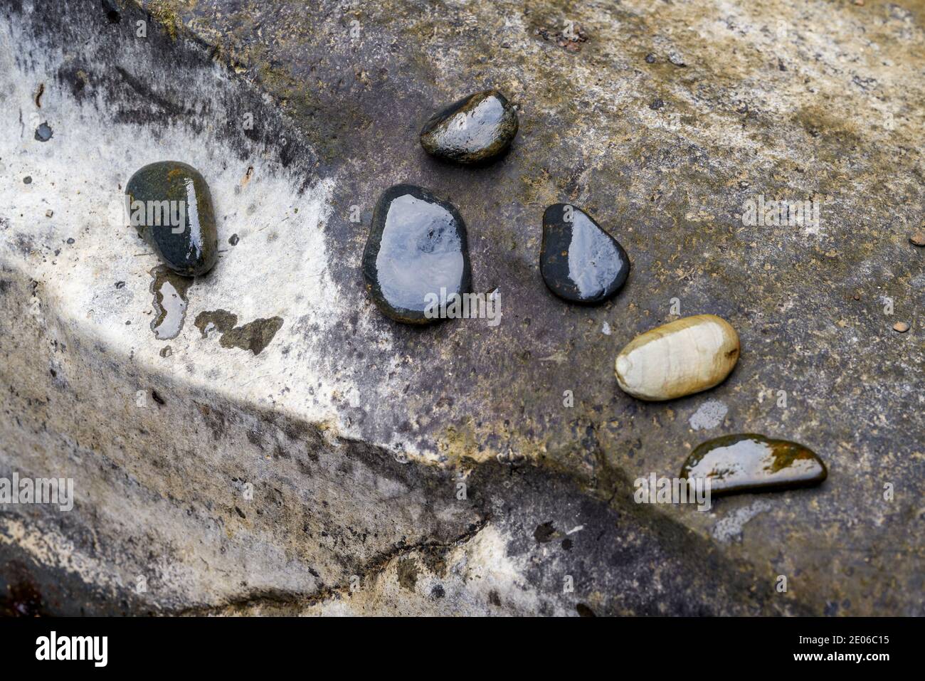 Primo piano di ciottoli sulla piana delle maree vicino al fiume Foto Stock