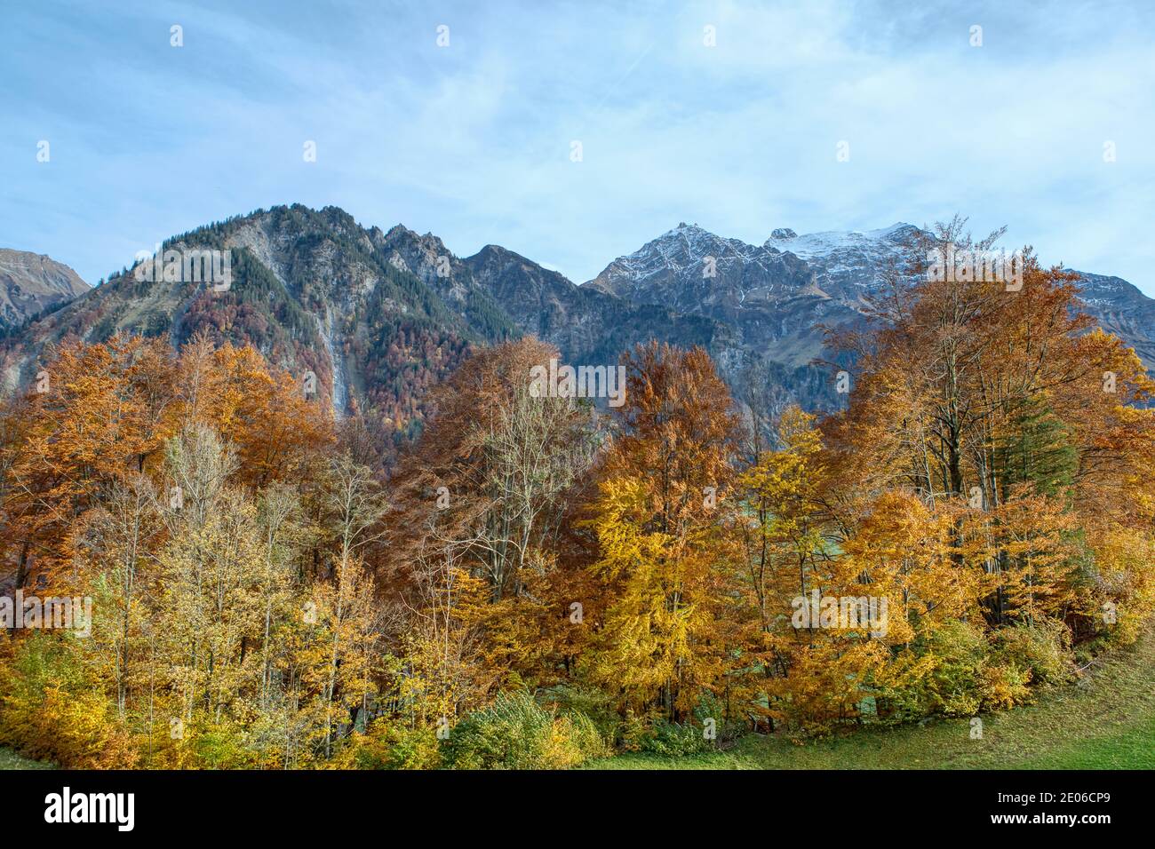 Vista su colorati alberi d'autunno nella foresta. Colorata scena autunnale delle Alpi svizzere. Svizzera, Europa Foto Stock