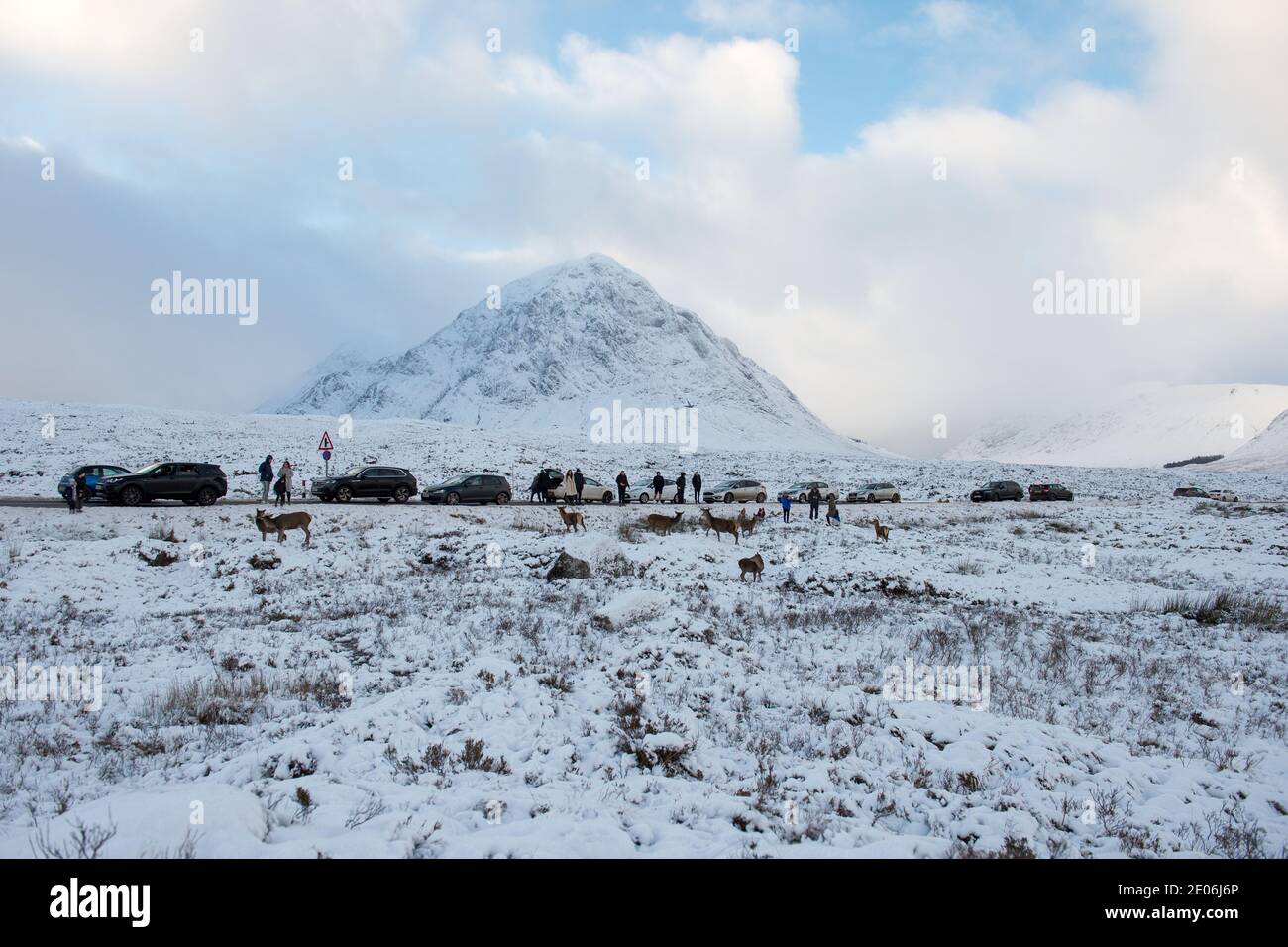 Glencoe, Scozia, Regno Unito. 30 dicembre 2020. Nella foto: Si affollano a Glencoe armati di sacchi di carote che attirano la mandria di cervi selvatici sempre più vicino per quel selfie importante. Da quando la Scozia è stata messa in blocco alla fase 4, la gente sta uscendo per sfamare i cervi che vagano selvaggi nel glen, e la polizia è stata fuori per liberare la folla, e l'intero processo poi comincia tutto di nuovo. Credit: Colin Fisher/Alamy Live News Foto Stock