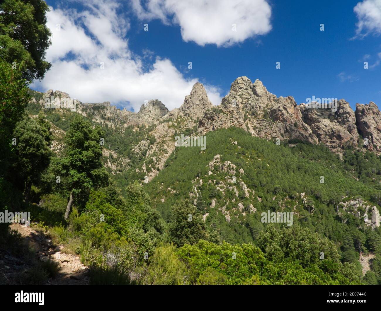 Suggestivo paesaggio di roccia e foresta lungo le aiguilles de Bavella nei monti dell'alta Rocca in Corsica Foto Stock