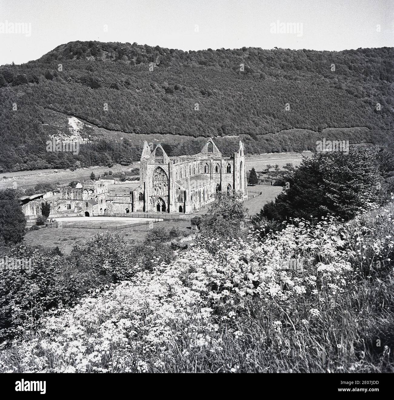 1950, storico, un quadro di J Allan Cash dell'Abbazia di Tintern. L'abbazia cistercense, fondata nel 1131 da Walter de Clare, signore di Chepstow, si trova adiacente al villaggio di Tintern nel Monmouthshire al confine con il Galles ed è una delle più grandi rovine monastiche del Galles. Foto Stock