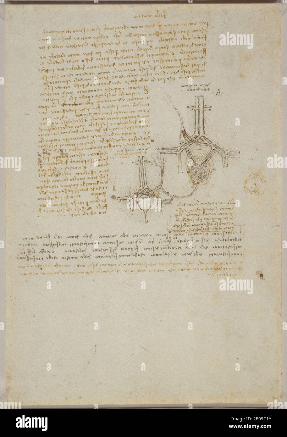 Leonardo da Vinci - Studi sull'apporto di sangue dell'utero e del feto, e note sulla meccanica c.1510-13. Foto Stock