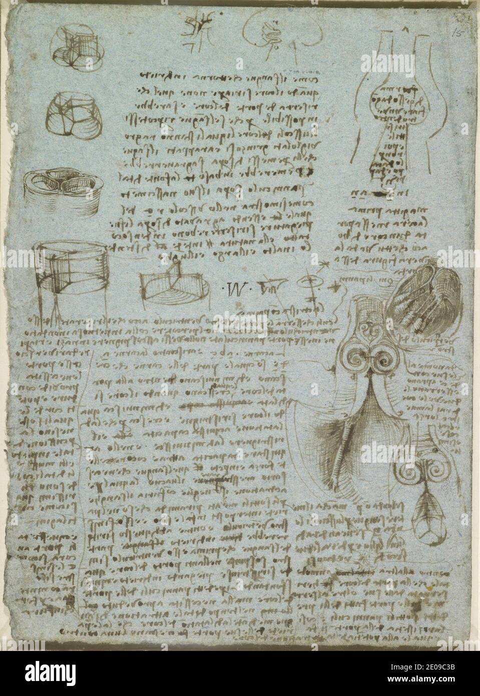 Leonardo da Vinci - la valvola aortica c.1512-13. Foto Stock
